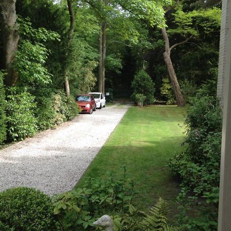 瓦瑟纳尔De Rode Beuk住宿加早餐旅馆 外观 照片